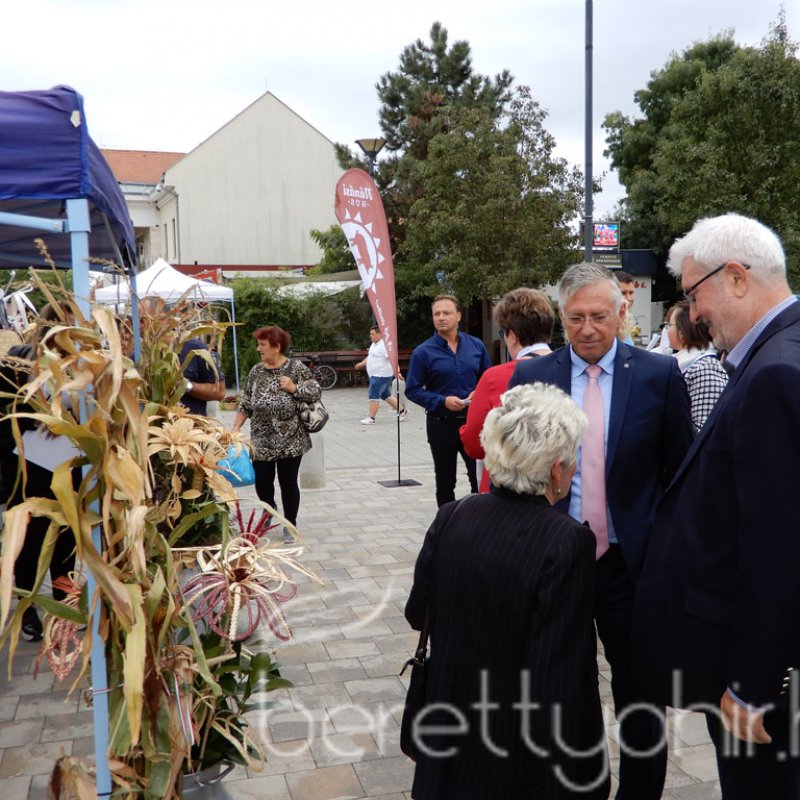 Helyi Értékek Startja 74